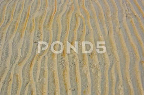 Beach Sand Ripple Pattern