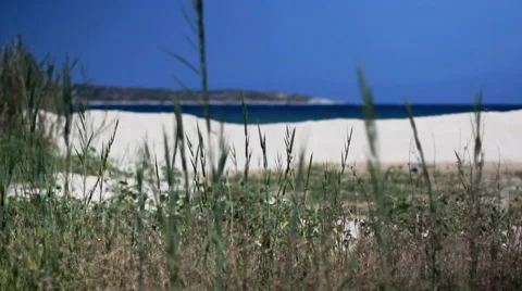 Beach, sand, sea Stock Footage 53082598