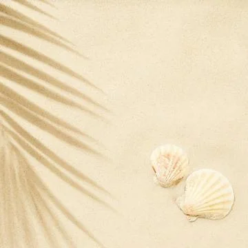 Beach sand with shadow of palm leaf and seashells - background Stock Photos