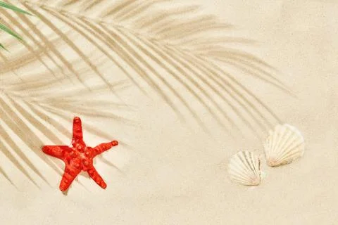 Beach sand with shadow of palm leaf, starfish and seashells Stock Photos