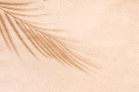 Beach sand with shadow of palm leaf - minimal background Stock Photos