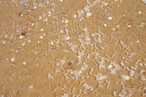 Beach sand with shells washing over relaxing natural setting top-down view .. Stock Photos
