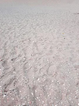 Beach sand in the spring Stock Photos