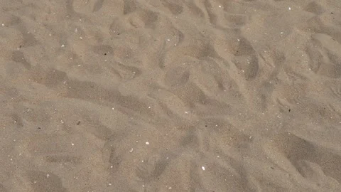 Beach sand in summer Stock Footage 240121737