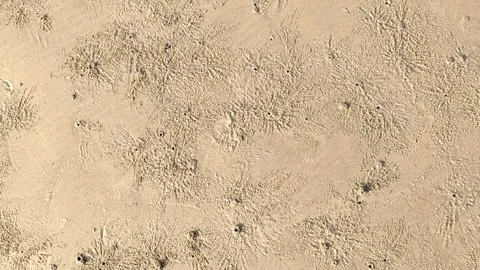 Beach Sand Texture 4k video HD footage -Tide Marks Sand footage- Beach pattern Stock Footage 240790887