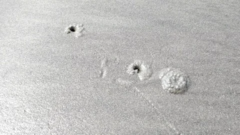 Beach Sand Texture 4k video HD footage -Tide Marks Sand footage- Beach pattern Stock Footage 329285370