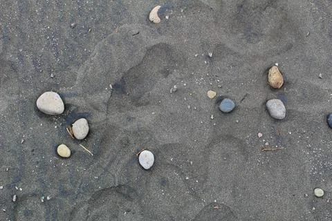 Beach sand texture Stock Photos