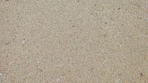 Beach sand texture with tiny shell fragments, top view 库存照片