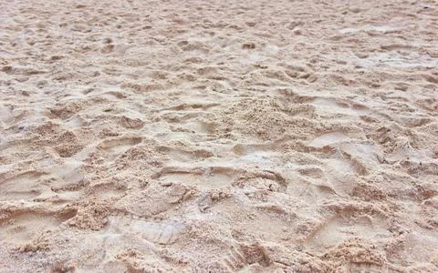 Beach sand texturebeach sand texture an image of beach sand Copyright:... 写真素材