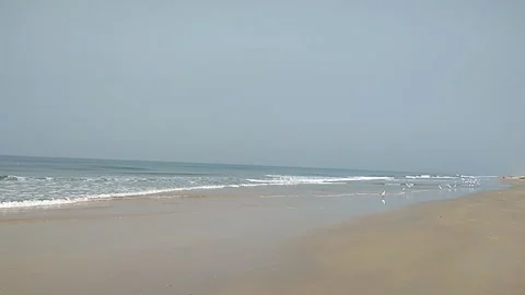 Beach, sand waves and sky Stock Footage 154263110