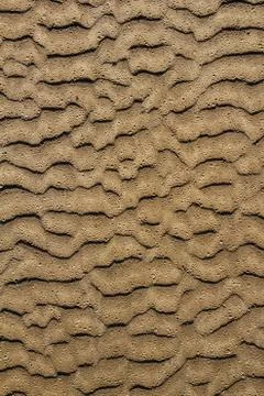 Beach sand waves pattern texture brown wet Stock Photos