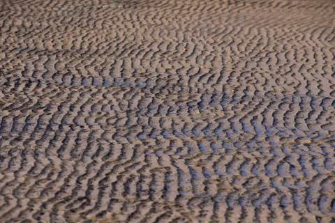 Beach sand waves warm texture pattern background Stock Photos