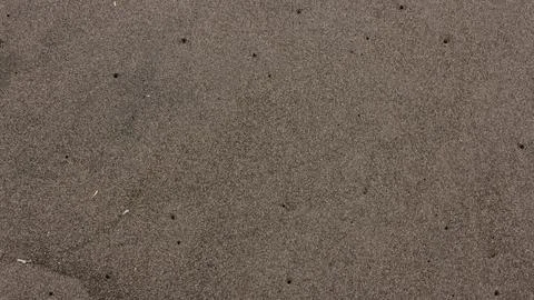 Beach sands texture with worm hole Stock Photos
