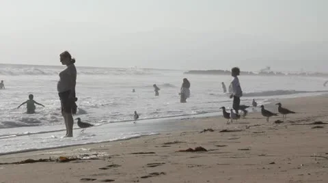 Beach Scene 8246 Stock Footage 12370126