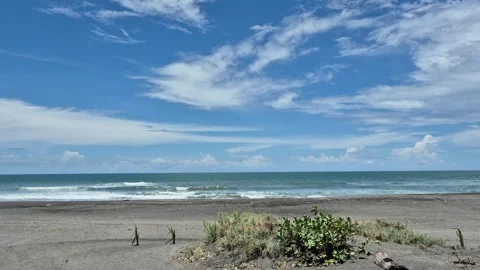 A beach scene with black sand 動画素材 331895648