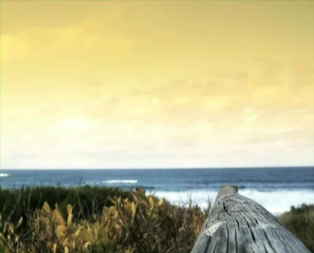 Beach Scene with color grade Stock Footage 769412