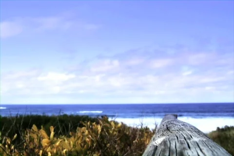 Beach Scene with color grade Stock Footage 769451