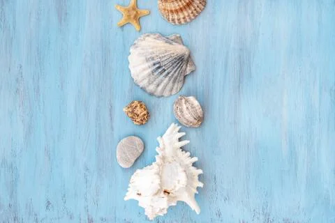 Beach scene concept with sea shells and starfish on blue wooden backdrop Stock Photos