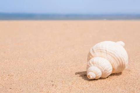 Beach scene with copy space Stock Photos
