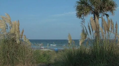 Beach Scene 库存影片 90159