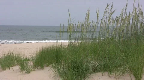 Beach scene Video stock 483606