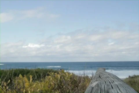 Beach Scene Stock Footage 769662