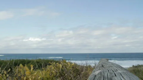 Beach Scene Stock Footage 769686