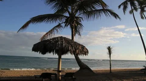 Beach Scene Stock Footage 10699487