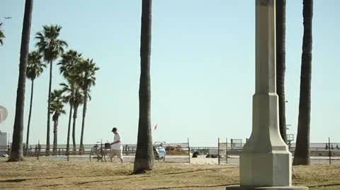 Beach Scene Stock Footage 11441566