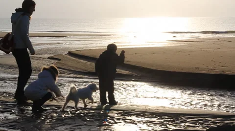 Beach Scene Stock Footage 47486300