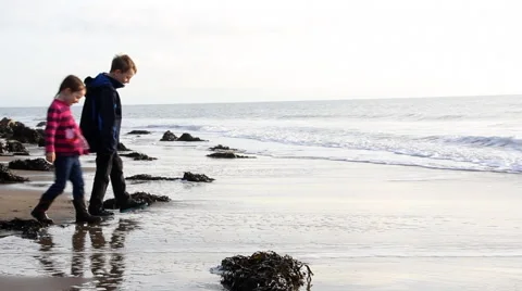 Beach Scene Stock Footage 47487388