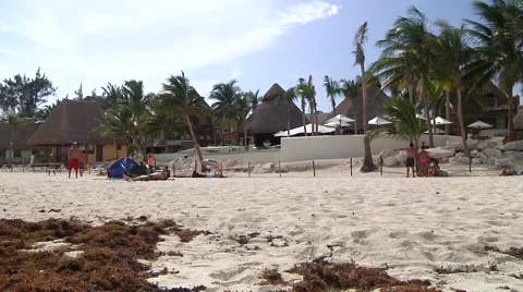 Beach scene Stock Footage 53976327