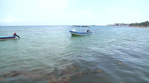 Beach scene Stock Footage 53978832