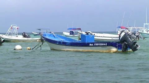 Beach scene Stock Footage 53979304