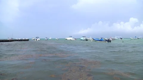 Beach scene 库存影片 53980033