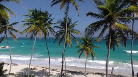 Beach scene Video stock 84826575