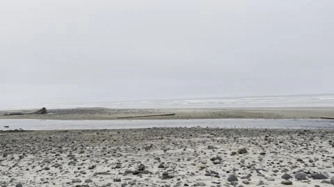 Beach scene landscape Stock Footage 156640508