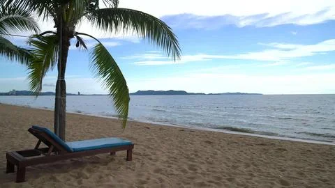 Beach scene with palm tree and lounge chair by the ocean Stock Photos