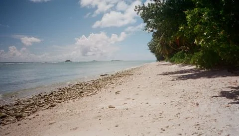 Beach scene Фото