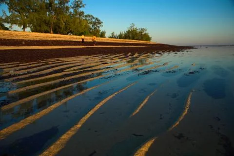 Beach Scene Stock Photos