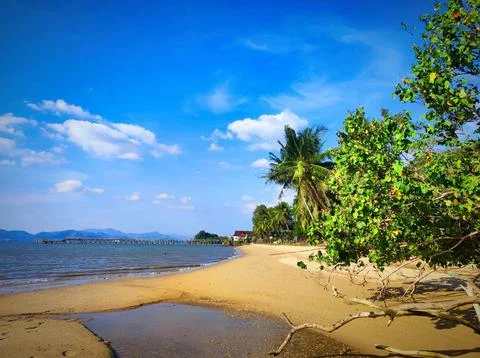 Beach scene with pier and trees during bright day near water in a coastal a.. Stock Photos