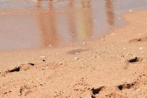Beach scene with reflections on the sand Stock Photos