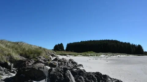 Beach scene with rocks and forest in Norway during a clear day Stock Footage 340201778