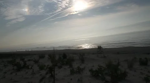 Beach Scene Sea Gull Stock Footage 20521606