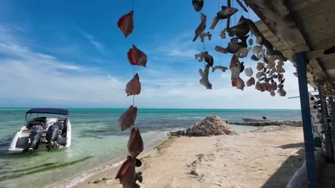 Beach scene seashell, snails and boat moored coastline Carenero island, Stock Footage 278896504
