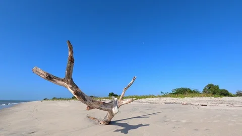 Beach scene on sunny day at Punta Chame Panama Stock Footage 125038281