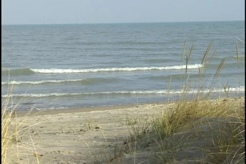 Beach Scene through the Reeds Stock Footage 300249