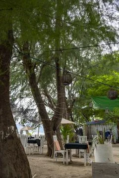 Beach scene with a tree in the background Stock Photos