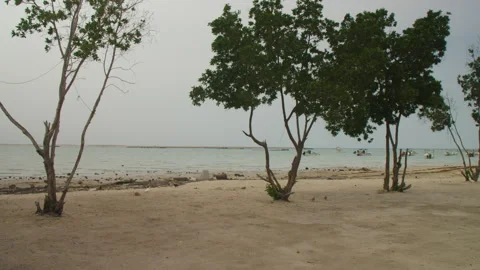 Beach scene with trees and distant boats Video stock 334328416