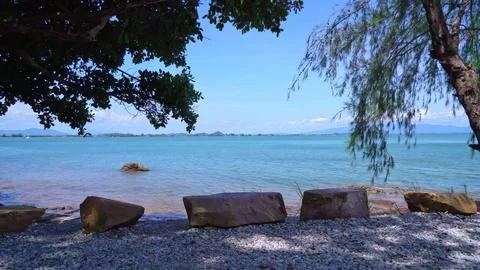 Beach scene with trees, rocks, and calm ocean water Stock Photos
